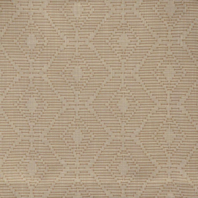 Orapa # 723 Ballet by Maxwell Designer Fabric Color Theory-Vol.Vii Lychee 49% POLYESTER
45% COTTON
6% LINEN INDIA V-4.75" H-6.75" W: 56" - Swanky Fabrics -
