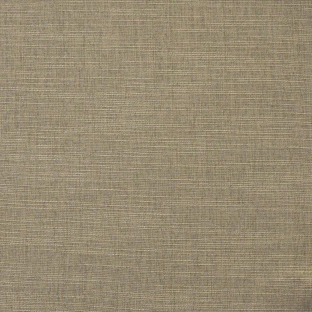 Daintree # 512 Morel by Maxwell Designer Fabric Pure & Simple Xv 65% POLYESTER/35%VISCOSE CHINA 55" - Swanky Fabrics -