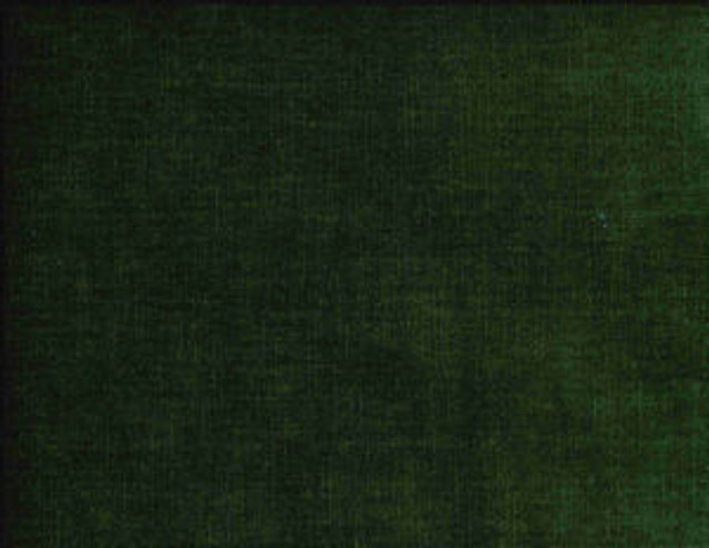 Belmont Bonsai 360 by Norbar Designer Fabric BELMONT 62% POLYESTER 38% COTTON INDIA 54 - Swanky Fabrics -