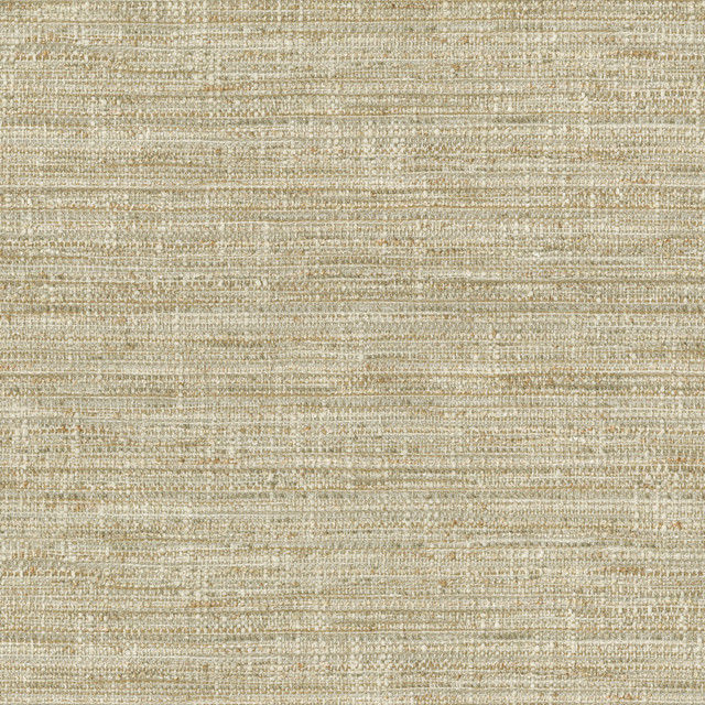 Daydream Dune 471073 by P/K LIFESTYLES Designer Fabric - 78% polyester, 21% cotton, 1% linen India 51000 Horizontal: 13.38 and Vertical: 7 54  - Swanky Fabrics -