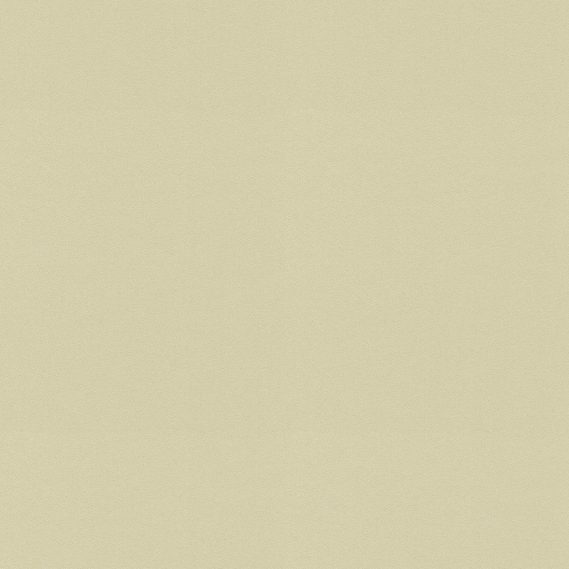 Raya Beige 471424 by P/K LIFESTYLES Designer Fabric - 100% recycled polyester India 51000 Horizontal: 0 and Vertical: 0 56 - Swanky Fabrics - Raya Beige 471424 by P/K LIFESTYLES Designer Fabric - 100% recycled polyester India 51000 Horizontal: 0 and Vertical: 0 56 - Swanky Fabrics -