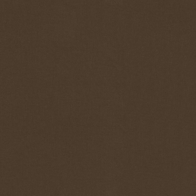 Raya Brown 471430 by P/K LIFESTYLES Designer Fabric - 100% recycled polyester India 51000 Horizontal: 0 and Vertical: 0 56  - Swanky Fabrics -