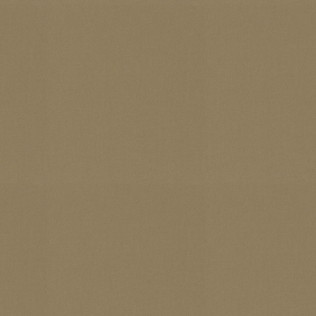 Raya Ginger 471429 by P/K LIFESTYLES Designer Fabric - 100% recycled polyester India 51000 Horizontal: 0 and Vertical: 0 56  - Swanky Fabrics -