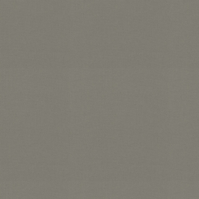 Raya Gray 471437 by P/K LIFESTYLES Designer Fabric - 100% recycled polyester India 51000 Horizontal: 0 and Vertical: 0 56  - Swanky Fabrics -