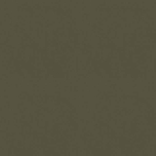 Raya Leaf 471409 by P/K LIFESTYLES Designer Fabric - 100% recycled polyester India 51000 Horizontal: 0 and Vertical: 0 56  - Swanky Fabrics -