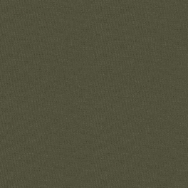 Raya Loden 471411 by P/K LIFESTYLES Designer Fabric - 100% recycled polyester India 51000 Horizontal: 0 and Vertical: 0 56  - Swanky Fabrics -