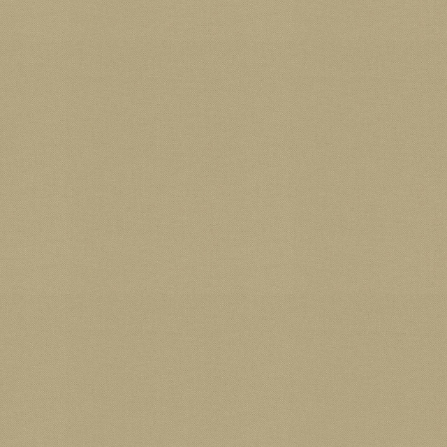 Raya Sesame 471427 by P/K LIFESTYLES Designer Fabric - 100% recycled polyester India 51000 Horizontal: 0 and Vertical: 0 56  - Swanky Fabrics -