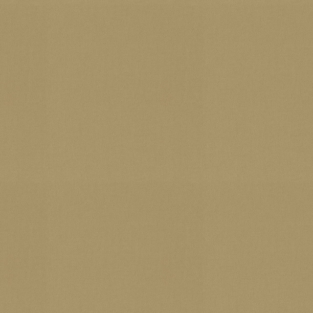 Raya Toast 471428 by P/K LIFESTYLES Designer Fabric - 100% recycled polyester India 51000 Horizontal: 0 and Vertical: 0 56  - Swanky Fabrics -
