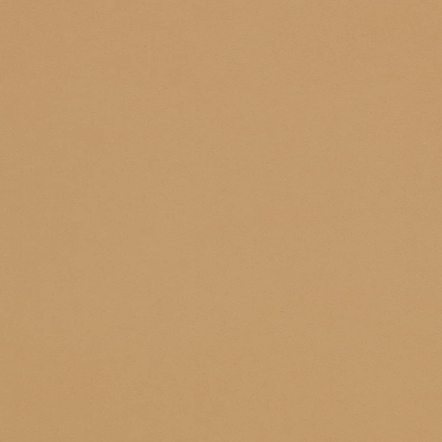 D4497 Tan by Charlotte Designer Fabric Sueded Velvet 100% Polyester, Fleece Backing Asia </p><p>Repeat: No Repeat 54 Inches - Swanky Fabrics -
