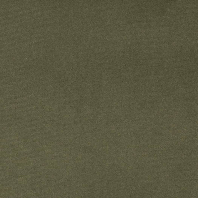 D4516 Dill by Charlotte Designer Fabric Sueded Velvet 100% Polyester, Fleece Backing Asia </p><p>Repeat: No Repeat 54 Inches - Swanky Fabrics -