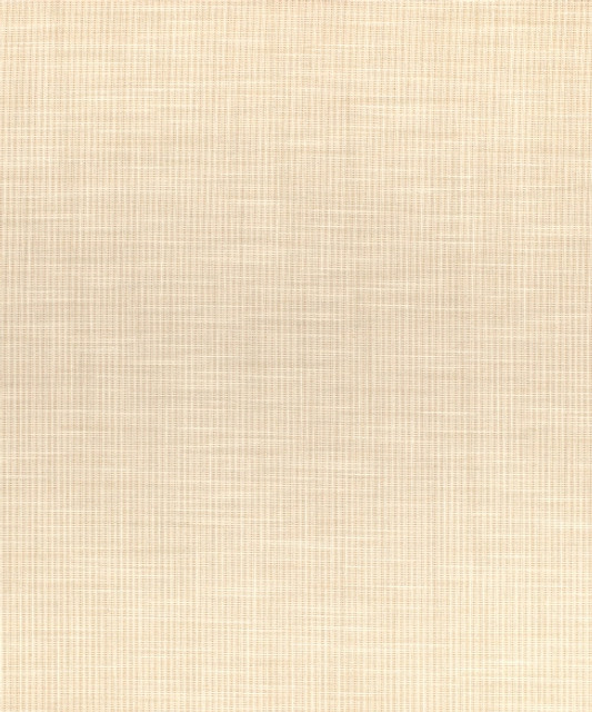 Ansonia 51001 by Barrow  Designer Fabric Barrow Gallery 56% Rayon (S), 23% Polyester (F), 21% Cotton China 75,000 Double Rubs </p><p>Repeat: Horizontal:  and Vertical:  58"  - Swanky Fabrics -