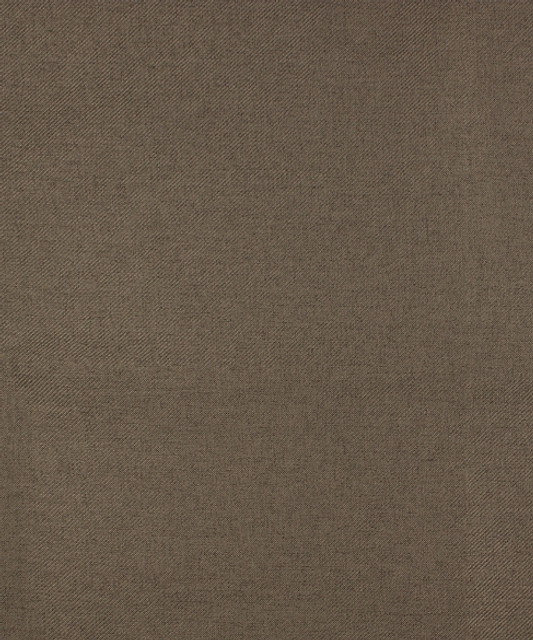Afton 52305 by Barrow  Designer Fabric Barrow Gallery 100% Polyester Filament Non-Textured China 42,000 Double Rubs </p><p>Repeat: Horizontal: 0" and Vertical: 0" 58"  - Swanky Fabrics -