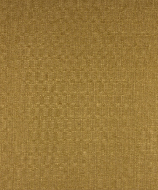 M9134 5773 by Barrow  Designer Fabric Barrow Gallery 52% Polyester Filament-Textured, 48% Polyester Filament Non-Textured China 30,000 Double Rubs </p><p>Repeat: Horizontal:  and Vertical:  58"  - Swanky Fabrics -
