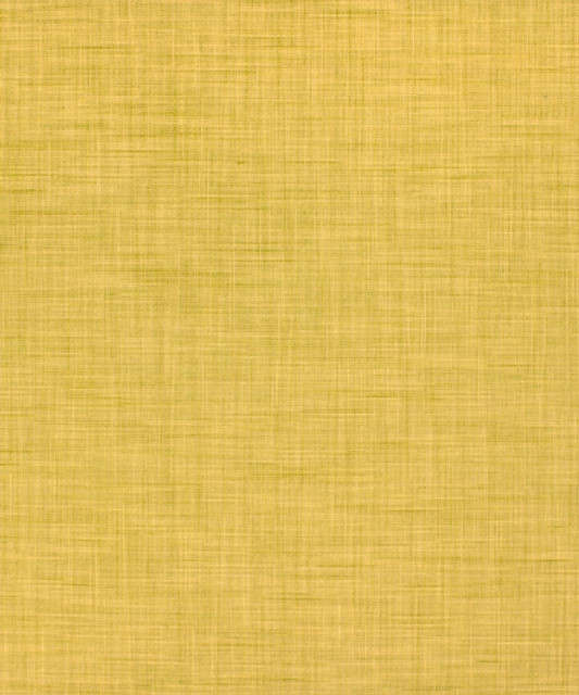 M9281 5361 by Barrow  Designer Fabric Barrow Gallery 56% Rayon (S), 23% Polyester (F), 21% Cotton China 75,000 Double Rubs </p><p>Repeat: Horizontal:  and Vertical:  58"  - Swanky Fabrics -