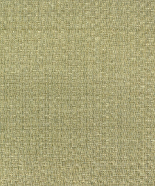 M9889 52105 by Barrow  Designer Fabric Barrow Gallery 62% Polyester (S), 38% Polyester (F) China 75,000 Double Rubs </p><p>Repeat: Horizontal:  and Vertical:  57"  - Swanky Fabrics -