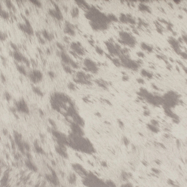 Kingdom Cheetah Gray by Europatex Designer Fabric Kingdom 100% Polyester 57.00 inches - Swanky Fabrics -