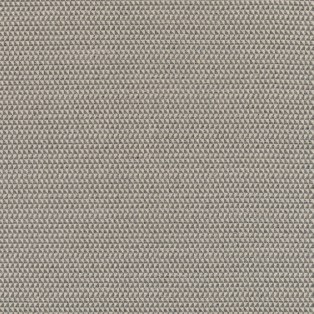 Pollux Charcoal W81913 by Thibaut Fabric Thibaut Fabric Pollux Charcoal W81913Fabric Companions </p><p>Repeat: V: 1.00" (2.54 cm) 54.00" (137.16 cm) - Fabric Carolina - Pollux Charcoal W81913 by Thibaut Fabric Thibaut Fabric Pollux Charcoal W81913Fabric Companions </p><p>Repeat: V: 1.00" (2.54 cm) 54.00" (137.16 cm) - Fabric Carolina -