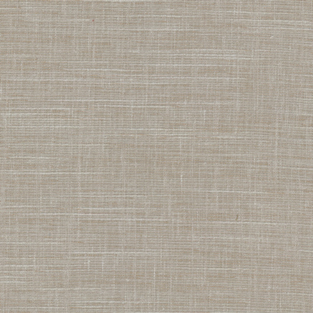 <p>Truth Be Told Pewter by Carole Designer Fabric</p><p><strong>Required Minimum Quantity Purchase: 2 yards</strong></p><p>Book: Desert Sands</p><p>Content: 56% Polyester, 37% Cotton, 7% Linen</p><p>Origin: </p><p>Performance: N/A</p><p>Repeat: None</p><p>Width: 54""</p>