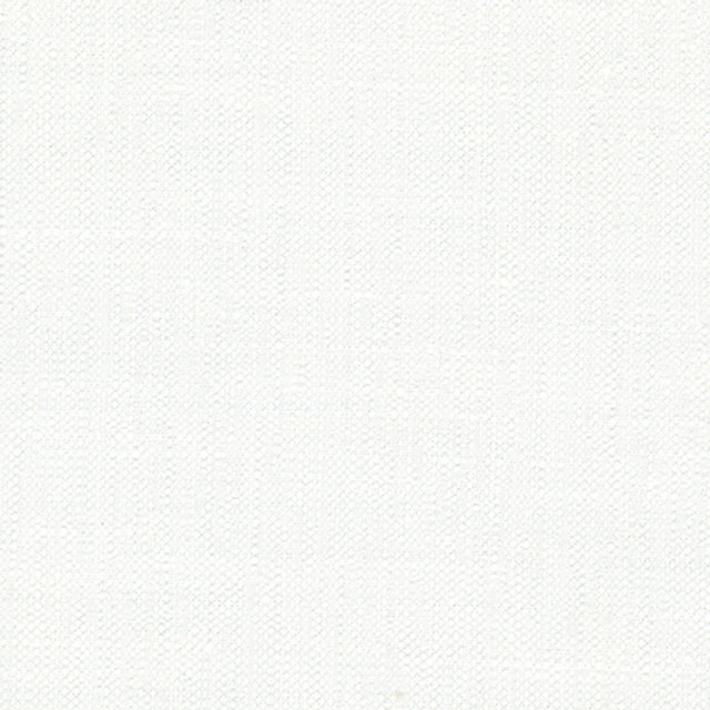 <p>The Reason Is White by Carole Designer Fabric</p><p><strong>Required Minimum Quantity Purchase: 2 yards</strong></p><p>Book: Sea Salt</p><p>Content: 100% Polyester</p><p>Origin: </p><p>Performance: N/A</p><p>Repeat: None</p><p>Width: 54""</p>