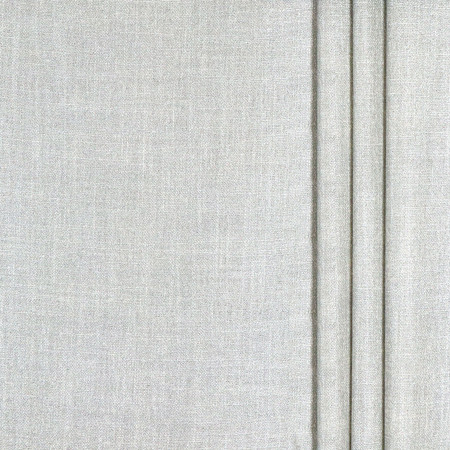 <p>Sheer Illumination Silver by Carole Designer Fabric</p><p><strong>Required Minimum Quantity Purchase: 2 yards</strong></p><p>Book: Sheer Delight</p><p>Content: 66% Polyester, 34% Viscose</p><p>Origin: </p><p>Performance: N/A</p><p>Repeat: None</p><p>Width: 55""</p>