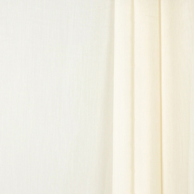 <p>Today Only Biscuit by Carole Designer Fabric</p><p><strong>Required Minimum Quantity Purchase: 2 yards</strong></p><p>Book: Sheer Joy</p><p>Content: 100% Polyester-Weighted Hem</p><p>Origin: </p><p>Performance: N/A</p><p>Repeat: None</p><p>Width: 145""</p>