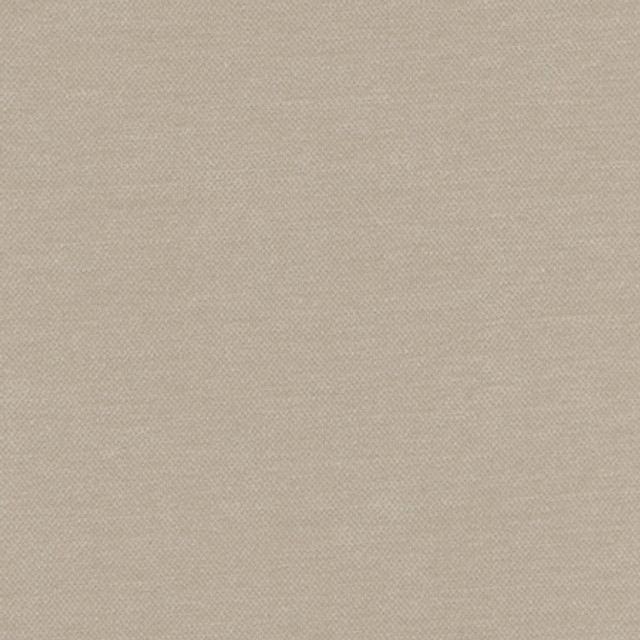 <p>Warm Up Beige by Carole Designer Fabric</p><p><strong>Required Minimum Quantity Purchase: 2 yards</strong></p><p>Book: Warm Embrace</p><p>Content: 100% Polyester</p><p>Origin: </p><p>Performance: N/A</p><p>Repeat: None</p><p>Width: 55""</p>