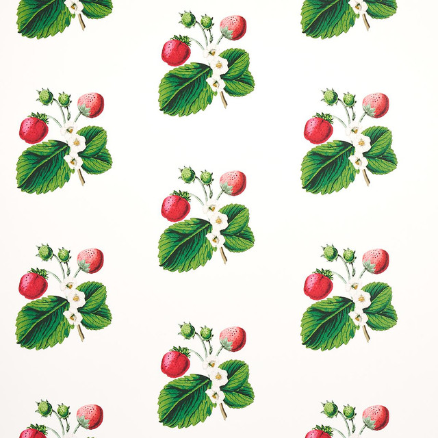 Strawberry Hill White 5014320 by Schumacher Designer Wallpaper Johnson Hartig 6.88" - Swanky Fabrics -