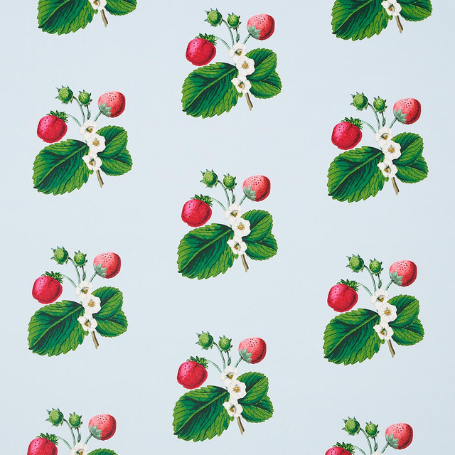 Strawberry Hill Blue 5014321 by Schumacher Designer Wallpaper Johnson Hartig 6.88" - Swanky Fabrics -