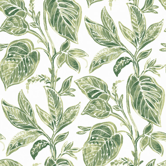 Mangrove Green Botanical Wallpaper by Chesapeake Designer Sanibel Covers about 56.4 square feet 20.5-in by 33-ft long roll Prepasted 20.5 - Swanky Fabrics - Mangrove Green Botanical Wallpaper by Chesapeake Designer Sanibel Covers about 56.4 square feet 20.5-in by 33-ft long roll Prepasted 20.5 - Swanky Fabrics -