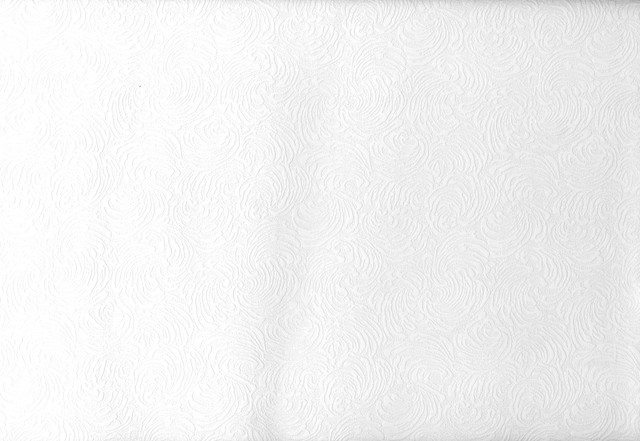Malkmus Paintable Shell Texture Wallpaper by Brewster Designer Paintable Solutions V Covers about 56.4 square feet 20.5-in by 33-ft long roll Prepasted 5 - Swanky Fabrics -