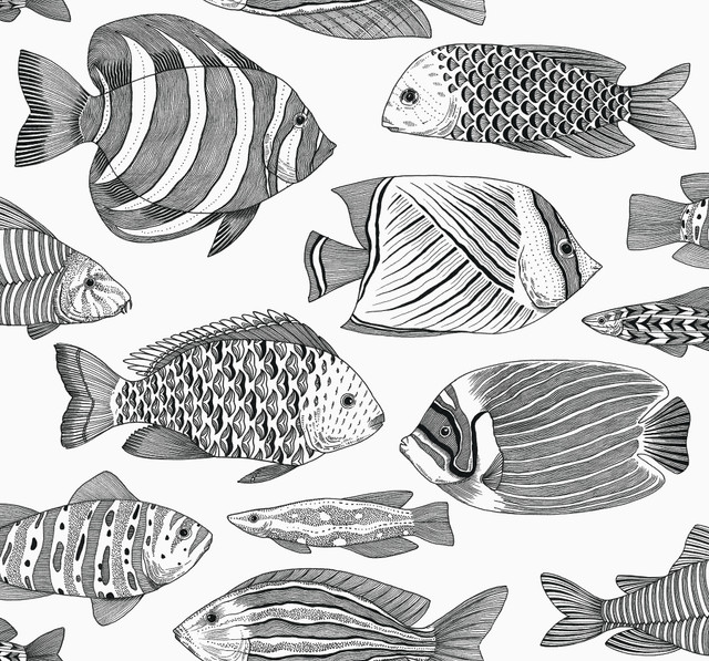 Wailea Black Tropical School Wallpaper by A-Street Prints Designer Newport Covers about 60.8 square feet 27-in by 27-ft long roll Unpasted 25.2 - Swanky Fabrics - Wailea Black Tropical School Wallpaper by A-Street Prints Designer Newport Covers about 60.8 square feet 27-in by 27-ft long roll Unpasted 25.2 - Swanky Fabrics -