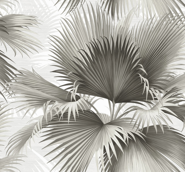 Summer Palm Charcoal Tropical Wallpaper by A-Street Prints Designer Newport Covers about 60.8 square feet 27-in by 27-ft long roll Unpasted 25.2 - Swanky Fabrics - Summer Palm Charcoal Tropical Wallpaper by A-Street Prints Designer Newport Covers about 60.8 square feet 27-in by 27-ft long roll Unpasted 25.2 - Swanky Fabrics -