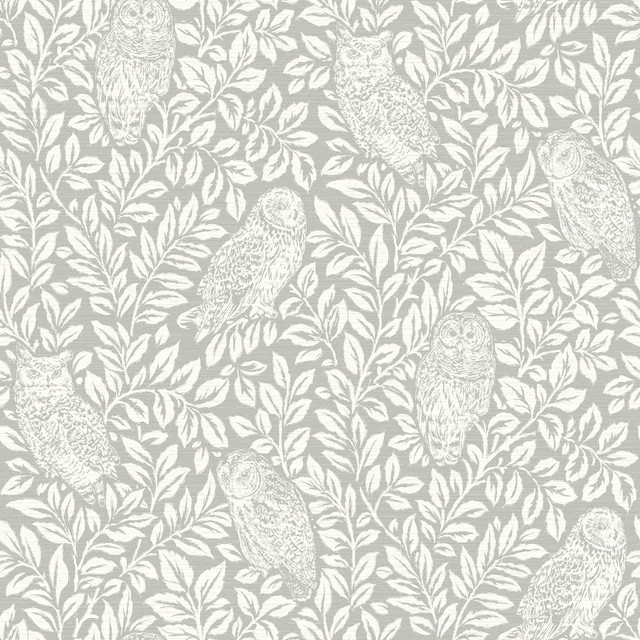 Parliament Grey Owl Wallpaper by Chesapeake Designer Homestead Covers about 56.4 square feet 20.5-in by 33-ft long roll Prepasted 20.5 - Swanky Fabrics - Parliament Grey Owl Wallpaper by Chesapeake Designer Homestead Covers about 56.4 square feet 20.5-in by 33-ft long roll Prepasted 20.5 - Swanky Fabrics -