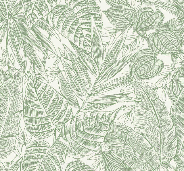 Brentwood Green Palm Leaves Wallpaper by A-Street Prints Designer Scott Living III Covers about 60.8 square feet 27-in by 27-ft long roll Unpasted 25.25 - Swanky Fabrics - Brentwood Green Palm Leaves Wallpaper by A-Street Prints Designer Scott Living III Covers about 60.8 square feet 27-in by 27-ft long roll Unpasted 25.25 - Swanky Fabrics -