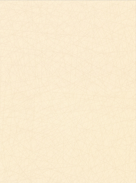 Allover Stix Champagne Geometric Wallpaper by Warner Designer Warner Textures X Covers about 60.8 square feet 27-in by 27-ft long roll Unpasted 0 - Swanky Fabrics -