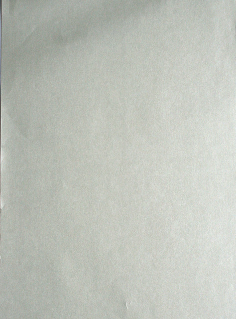 Lara Silver Floral Trail Texture Wallpaper by Kenneth James Designer Savoy Covers about 56.4 square feet 20.5-in by 33-ft long roll Unpasted 0 - Swanky Fabrics - Lara Silver Floral Trail Texture Wallpaper by Kenneth James Designer Savoy Covers about 56.4 square feet 20.5-in by 33-ft long roll Unpasted 0 - Swanky Fabrics -