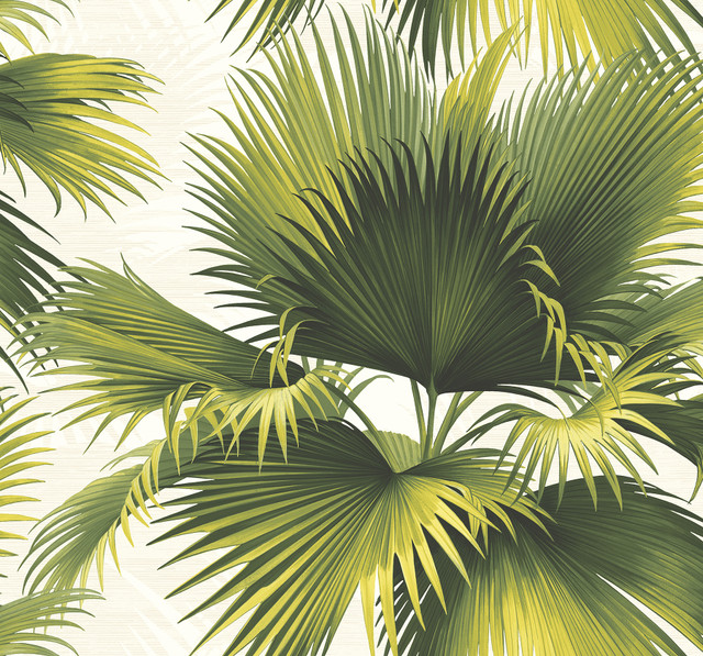 Endless Green Palm Wallpaper by Kenneth James Designer Palm Springs Covers about 60.8 square feet 27-in by 27-ft long roll Unpasted 26.25 - Swanky Fabrics - Endless Green Palm Wallpaper by Kenneth James Designer Palm Springs Covers about 60.8 square feet 27-in by 27-ft long roll Unpasted 26.25 - Swanky Fabrics -
