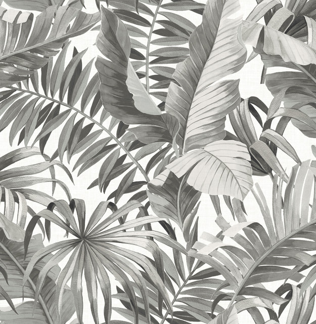 Alfresco Grey Tropical Palm Wallpaper by A-Street Prints Designer Pacifica Covers about 56.4 square feet 20.5-in by 33-ft long roll Unpasted 21 - Swanky Fabrics -