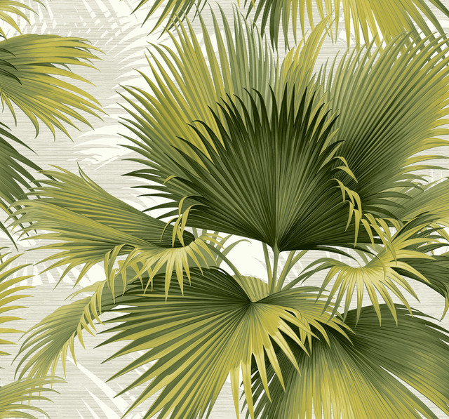 Summer Palm Green Tropical Wallpaper by A-Street Prints Designer Newport Covers about 60.8 square feet 27-in by 27-ft long roll Unpasted 25.2 - Swanky Fabrics - Summer Palm Green Tropical Wallpaper by A-Street Prints Designer Newport Covers about 60.8 square feet 27-in by 27-ft long roll Unpasted 25.2 - Swanky Fabrics -