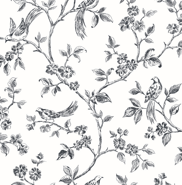 Ray Black Bird Trail Wallpaper by Advantage Designer Kitchen Covers about 56.4 square feet 20.5-in by 33-ft long roll Unpasted 10.4 - Swanky Fabrics -