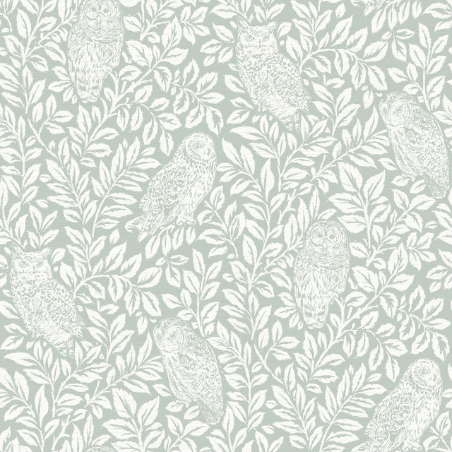 Parliament Seafoam Owl Wallpaper by Chesapeake Designer Homestead Covers about 56.4 square feet 20.5-in by 33-ft long roll Prepasted 20.5 - Swanky Fabrics - Parliament Seafoam Owl Wallpaper by Chesapeake Designer Homestead Covers about 56.4 square feet 20.5-in by 33-ft long roll Prepasted 20.5 - Swanky Fabrics -