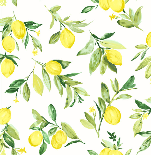 Limon Chartreuse Fruit Wallpaper by Brewster Designer Fresh Start Kitchen & Bath Covers about 56.4 square feet 20.5-in by 33-ft long roll Unpasted 20.9 - Swanky Fabrics - Limon Chartreuse Fruit Wallpaper by Brewster Designer Fresh Start Kitchen & Bath Covers about 56.4 square feet 20.5-in by 33-ft long roll Unpasted 20.9 - Swanky Fabrics -