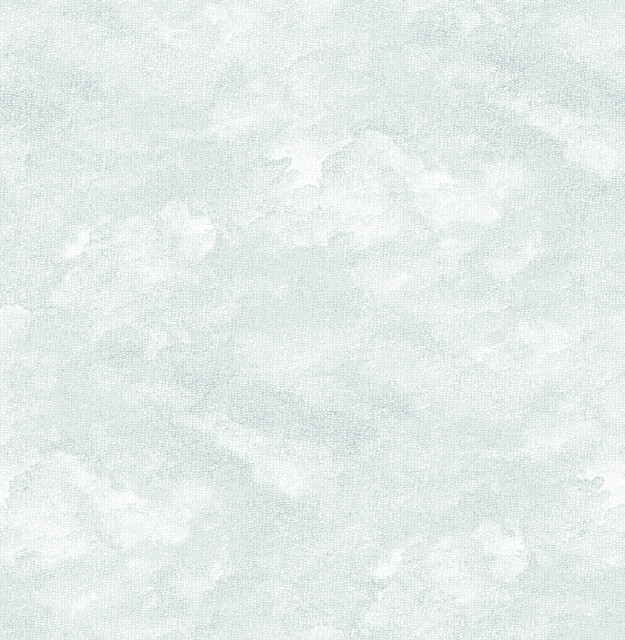 Bode Light Blue Cloud Wallpaper by A-Street Prints Designer Equinox Covers about 56.4 square feet 20.5-in by 33-ft long roll Unpasted 20.9 - Swanky Fabrics - Bode Light Blue Cloud Wallpaper by A-Street Prints Designer Equinox Covers about 56.4 square feet 20.5-in by 33-ft long roll Unpasted 20.9 - Swanky Fabrics -