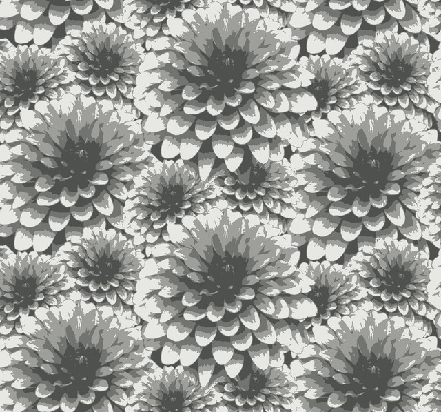 Umbra Charcoal Floral Wallpaper by A-Street Prints Designer Equinox Covers about 60.8 square feet 27-in by 27-ft long roll Unpasted 12.6 - Swanky Fabrics - Umbra Charcoal Floral Wallpaper by A-Street Prints Designer Equinox Covers about 60.8 square feet 27-in by 27-ft long roll Unpasted 12.6 - Swanky Fabrics -