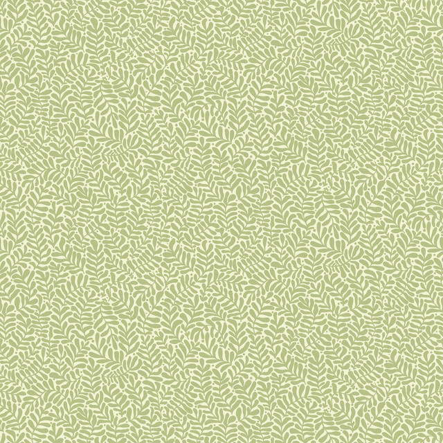 Anna Light Green Fern Trail Wallpaper by A-Street Prints Designer Annelie Covers about 57.5 square feet 20.9-in by 33-ft long roll Unpasted 20.9 - Swanky Fabrics - Anna Light Green Fern Trail Wallpaper by A-Street Prints Designer Annelie Covers about 57.5 square feet 20.9-in by 33-ft long roll Unpasted 20.9 - Swanky Fabrics -