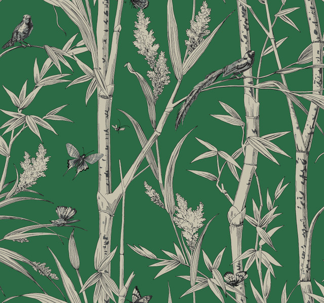 Bambou Toile Green Wallpaper by York Wallcoverings Designer Toile Resource Library Covers about 60.8 square feet 27-in by 27-ft long roll Unpasted 25.25 - Swanky Fabrics - Bambou Toile Green Wallpaper by York Wallcoverings Designer Toile Resource Library Covers about 60.8 square feet 27-in by 27-ft long roll Unpasted 25.25 - Swanky Fabrics -