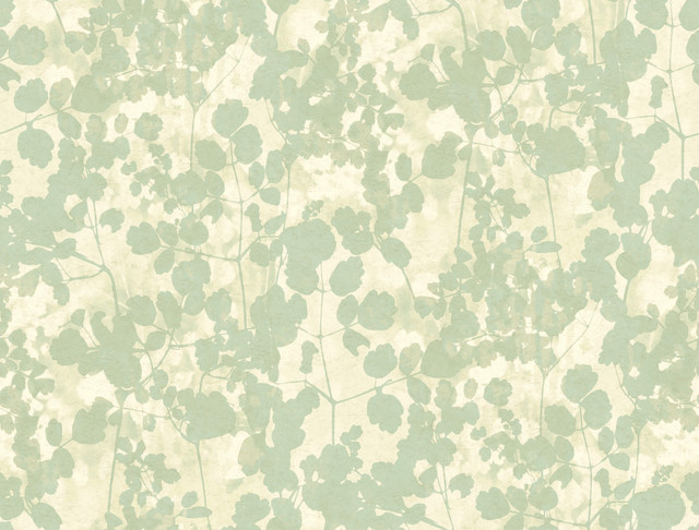 Pressed Leaves Green Wallpaper by Candice Olson Designer Candice Olson Botanical Dreams Covers about 60.8 square feet 27-in by 27-ft long roll Unpasted 20.5 - Swanky Fabrics - Pressed Leaves Green Wallpaper by Candice Olson Designer Candice Olson Botanical Dreams Covers about 60.8 square feet 27-in by 27-ft long roll Unpasted 20.5 - Swanky Fabrics -