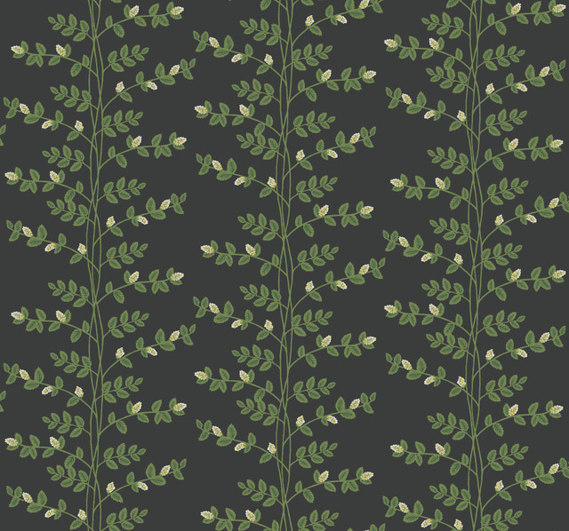 Climbing Vine Black Wallpaper by Rifle Paper Co. Designer Rifle Paper Co. 3rd Edition Covers about 60.8 square feet 27-in by 27-ft long roll Unpasted 25.25 - Swanky Fabrics - Climbing Vine Black Wallpaper by Rifle Paper Co. Designer Rifle Paper Co. 3rd Edition Covers about 60.8 square feet 27-in by 27-ft long roll Unpasted 25.25 - Swanky Fabrics -