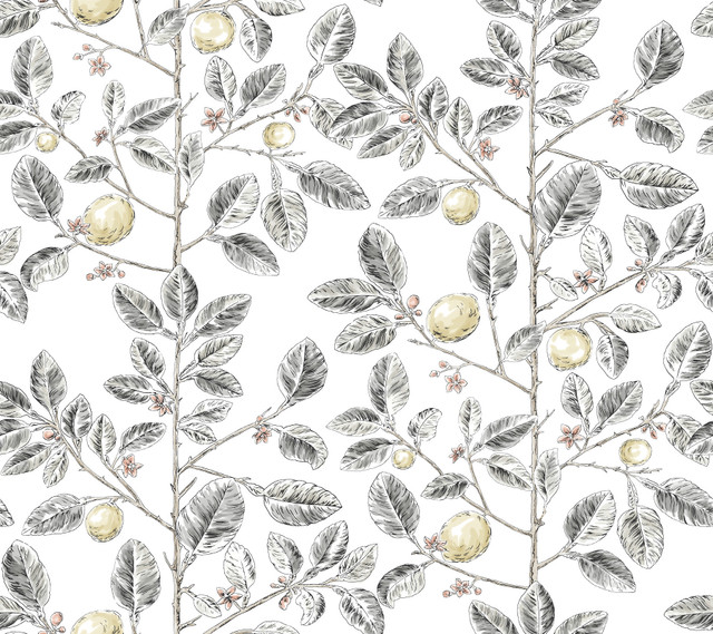 Limoncello Toile Black Wallpaper by York Wallcoverings Designer Toile Resource Library Covers about 60.8 square feet 27-in by 27-ft long roll Unpasted 24 - Swanky Fabrics - Limoncello Toile Black Wallpaper by York Wallcoverings Designer Toile Resource Library Covers about 60.8 square feet 27-in by 27-ft long roll Unpasted 24 - Swanky Fabrics -