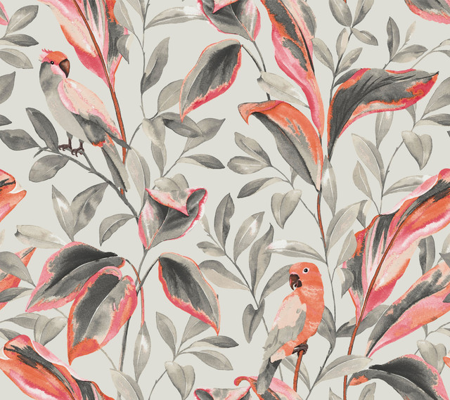 Tropical Love Birds Grey Wallpaper by York Wallcoverings Designer Tropics Resource Library Covers about 60.8 square feet 27-in by 27-ft long roll Prepasted 24 - Swanky Fabrics - Tropical Love Birds Grey Wallpaper by York Wallcoverings Designer Tropics Resource Library Covers about 60.8 square feet 27-in by 27-ft long roll Prepasted 24 - Swanky Fabrics -